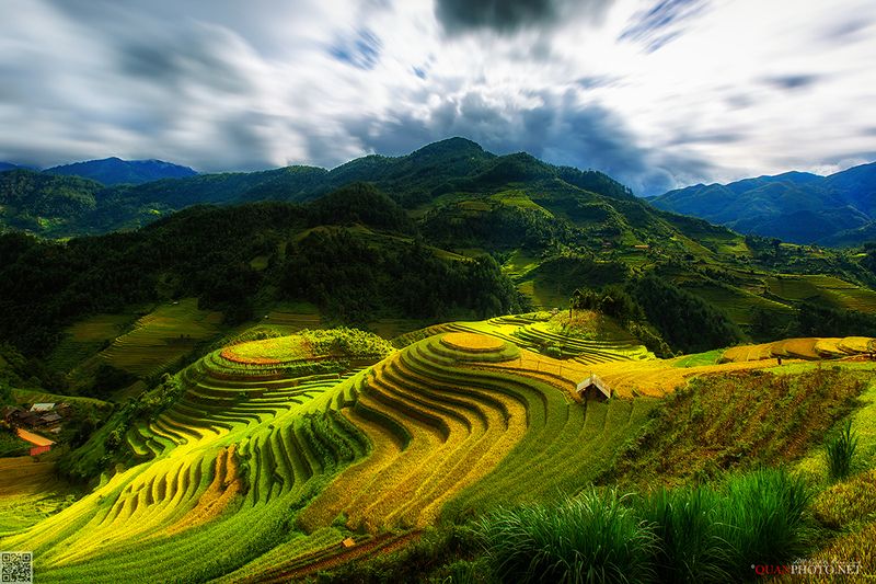 quanphoto, landscape, sunset, mountains, rice, valley, terrace, farmland, agriculture, culture, rural, vietnam Golden Rice Terracesphoto preview