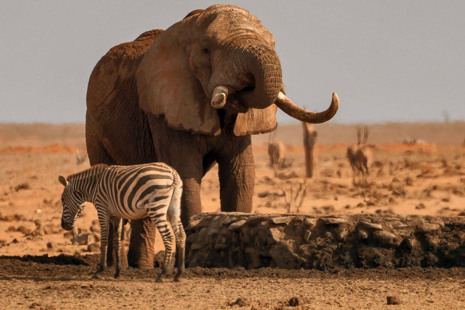 , Юрий Гордонов