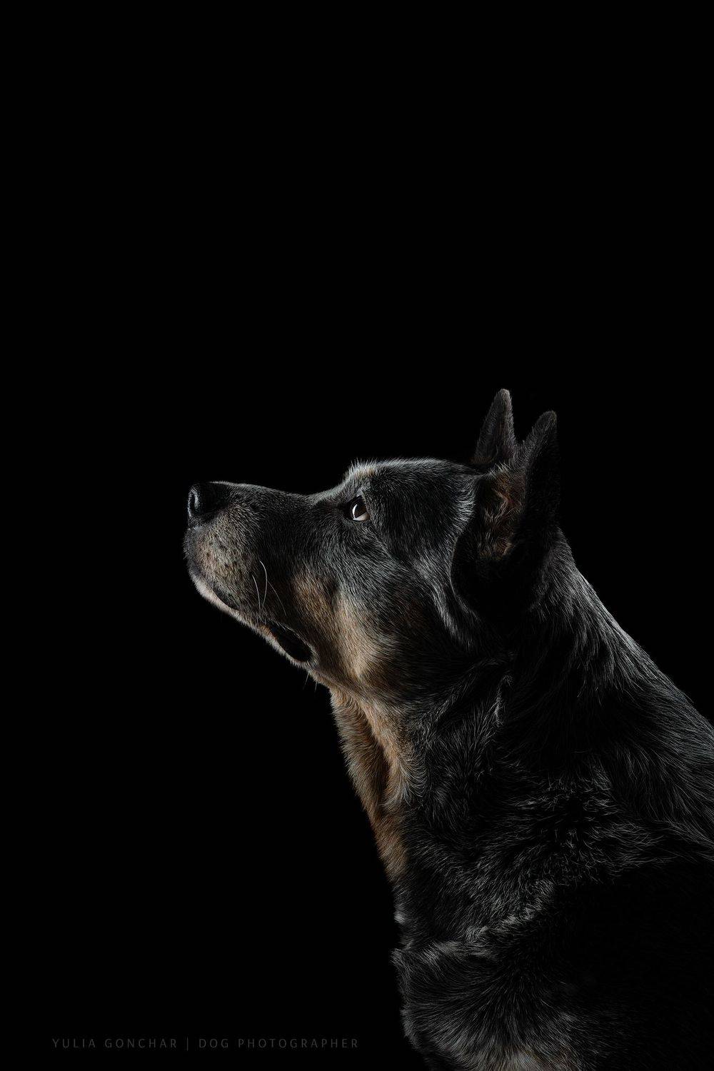 , Юлия Гончар