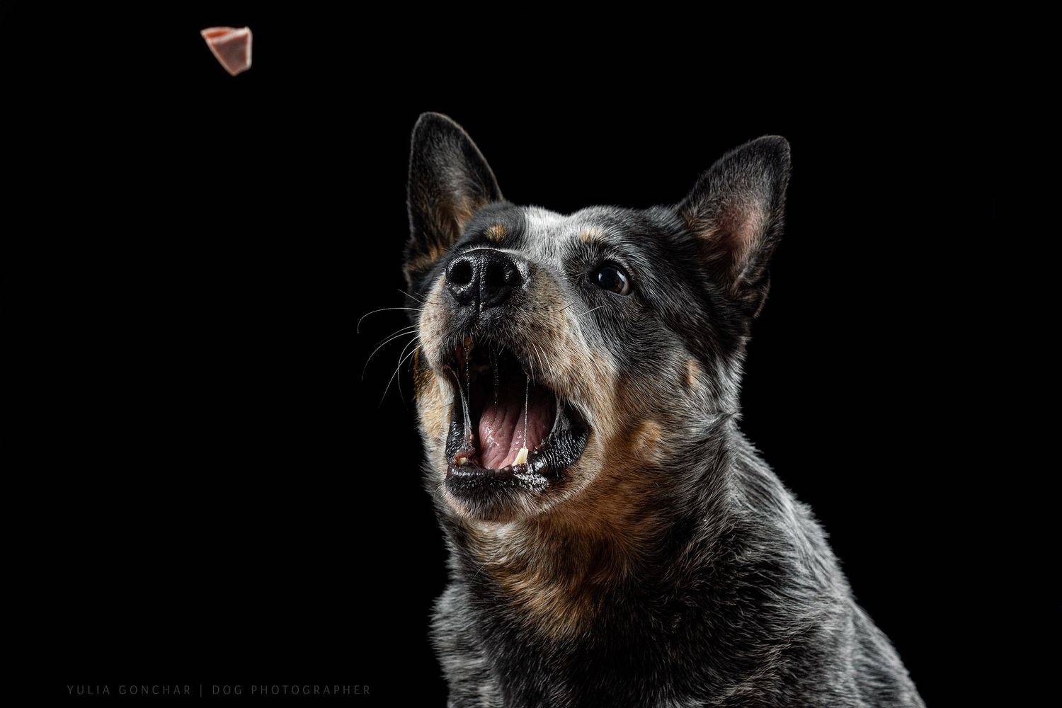 , Юлия Гончар