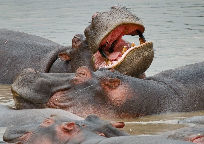 Ску-у-у-чно!photo preview