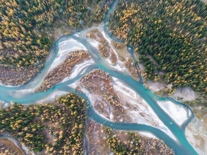 Вены Чуиphoto preview