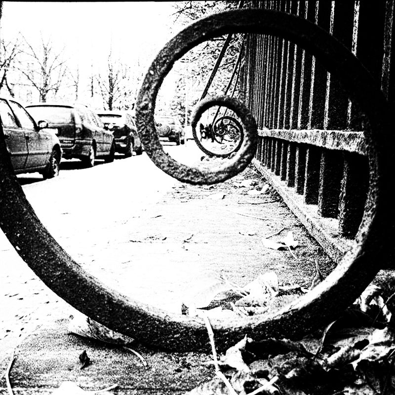 Gold ratio  фото превью