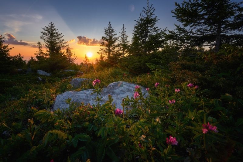 зюраткуль, закат, zuratkul, sunset Хребет Зюраткуль фото превью