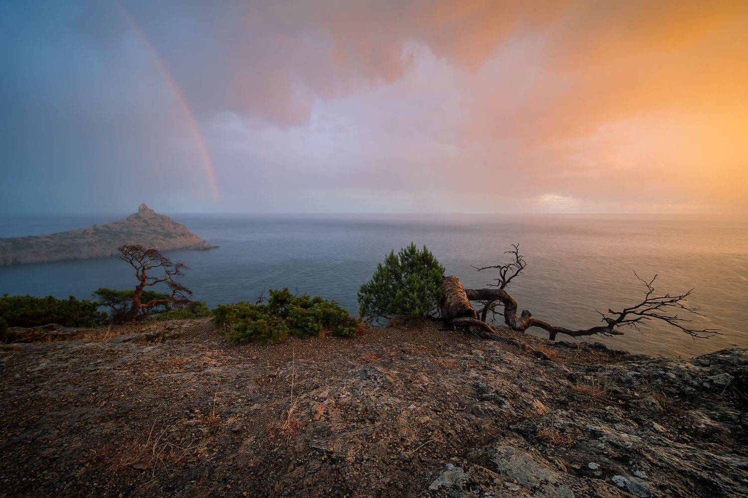 , Николай Носов