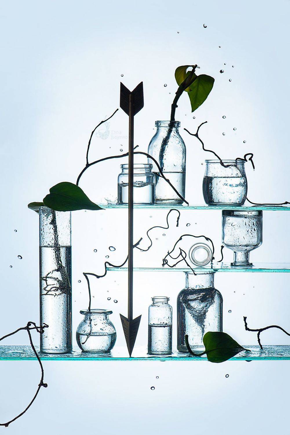 Автор: Dina Belenko , Dina Belenko