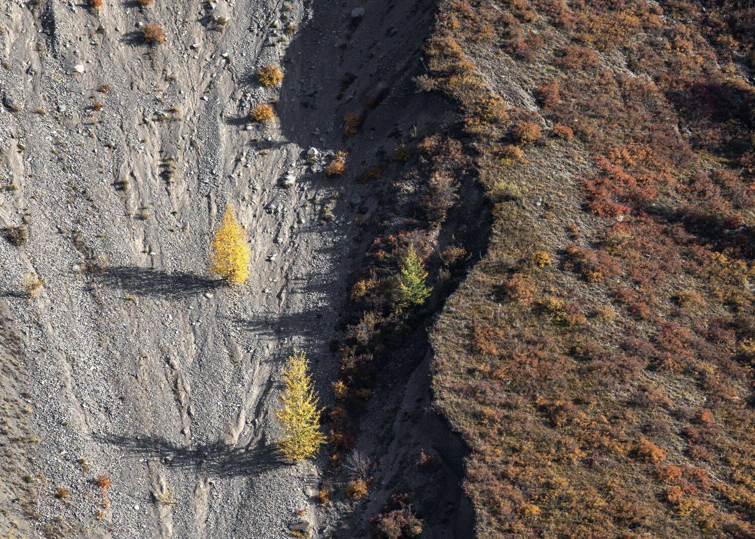 , Важенин Евгений