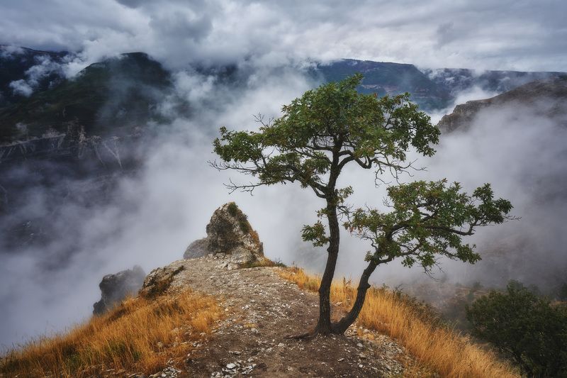 сулакский каньон дагенстан Сулакский Каньон. Дагестан. фото превью