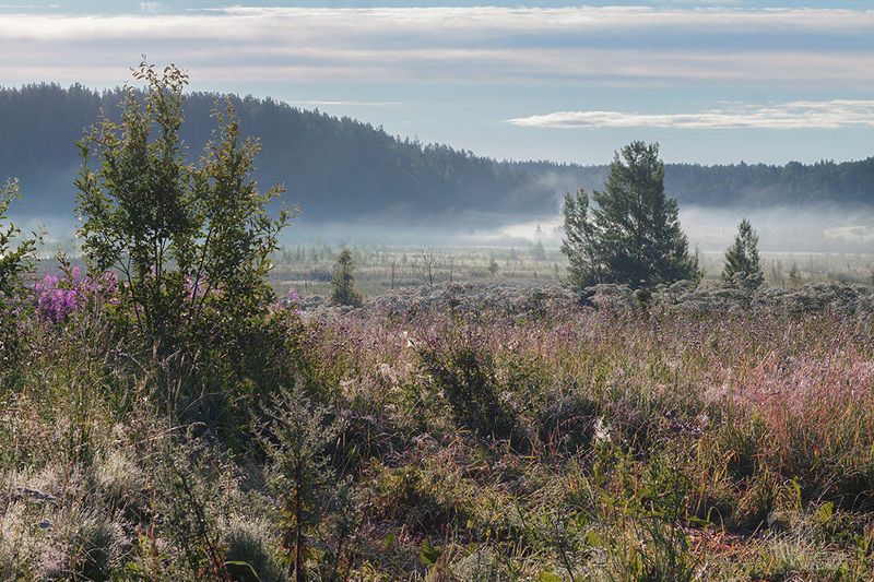 утро, поле, туман, солнце, природа Начало знойного дняphoto preview