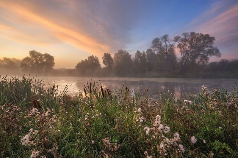 2019, россия, калужская область, пейзаж, утро, река, огубь, берег, небо, облака, рассвет, рогоз, трава, деревья, отражение, туман ***photo preview