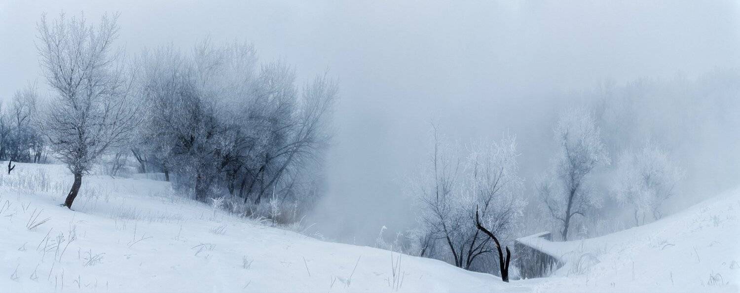 Зимняя, туманная.... Автор: Игорь Мелекесцев , Игорь Мелекесцев