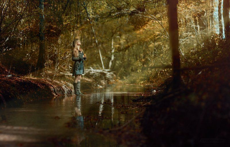 Девушка, Лес, Осень Ани в лесу 2photo preview