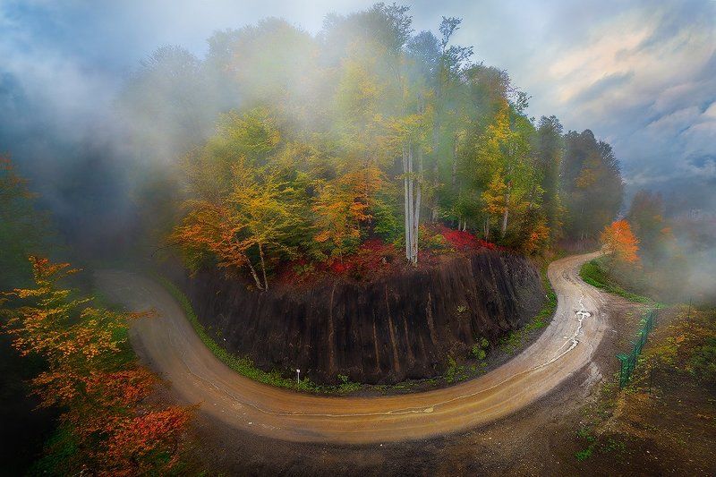 Осенняя круговертьphoto preview