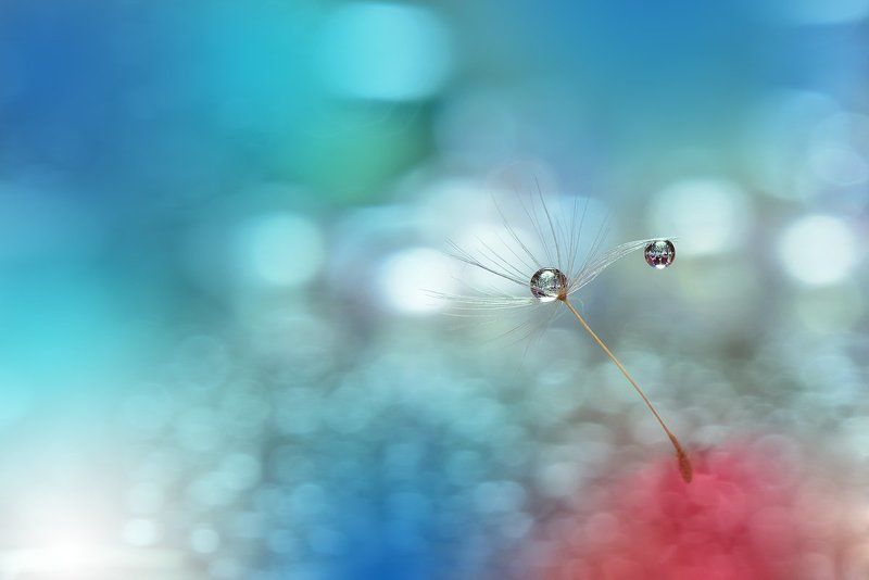 **o*o*o**photo preview