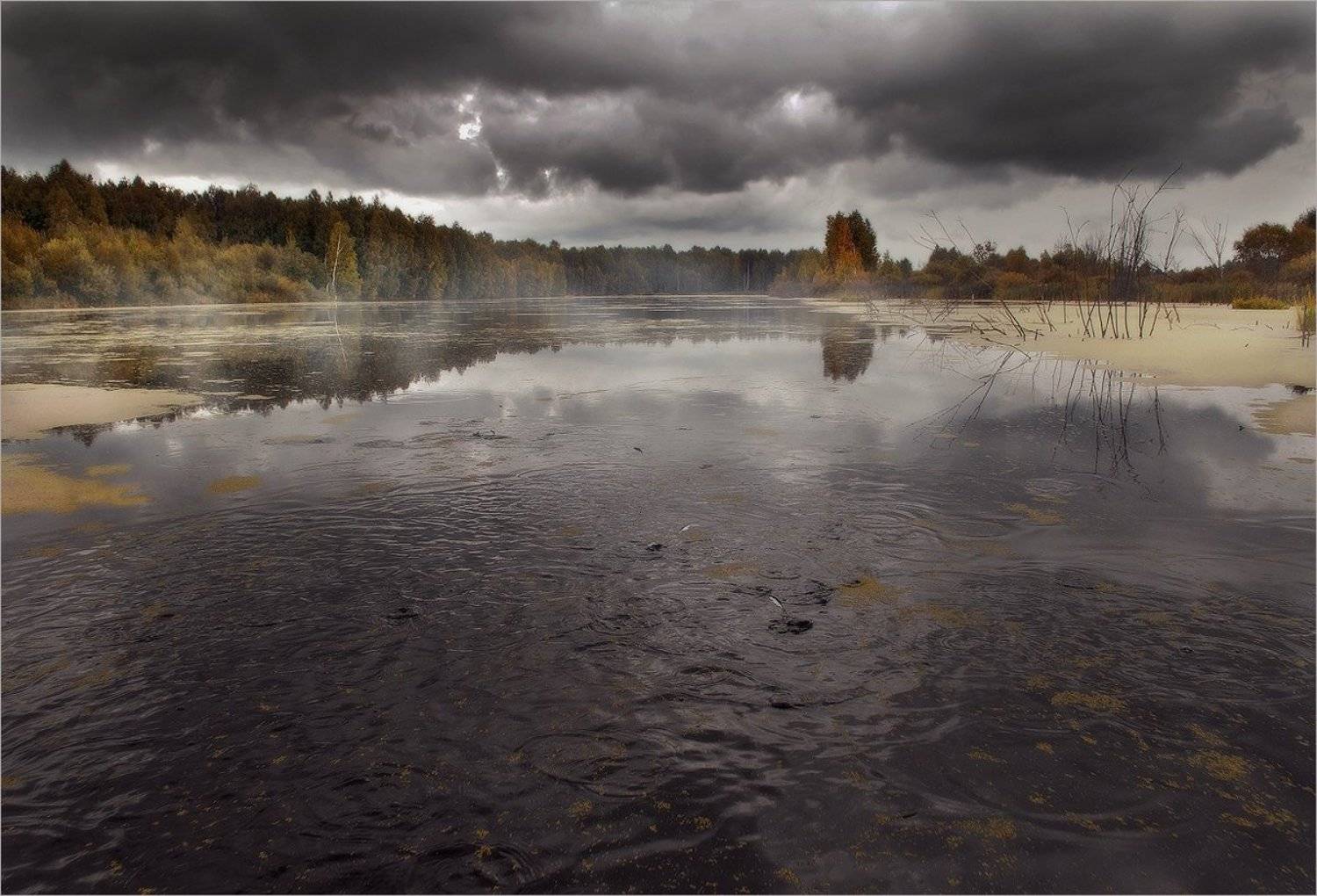 В темных водах. Автор: Алексеевич , Алексеевич