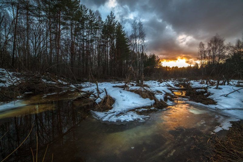 Золотой ручей фото превью