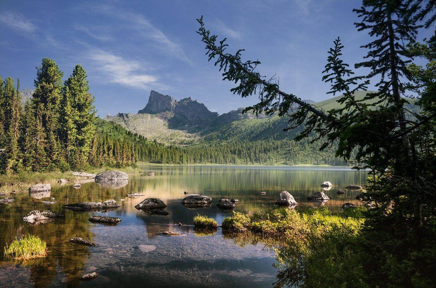 Озеро Свтлое. Автор: Дмитрий Антипов большой, вода, высокий, горы, дерево, ергаки, камни, красивая, красноярский край, лес, озеро, отражения, пейзаж, природа, саяны, сибирь, скалы, сосна, холодная, чистая, Дмитрий Антипов