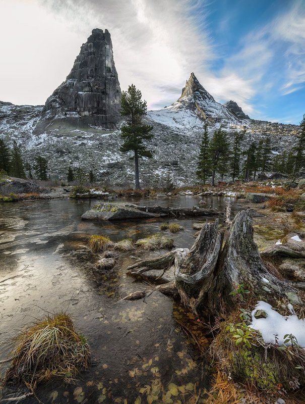 Сказка про старый пеньphoto preview