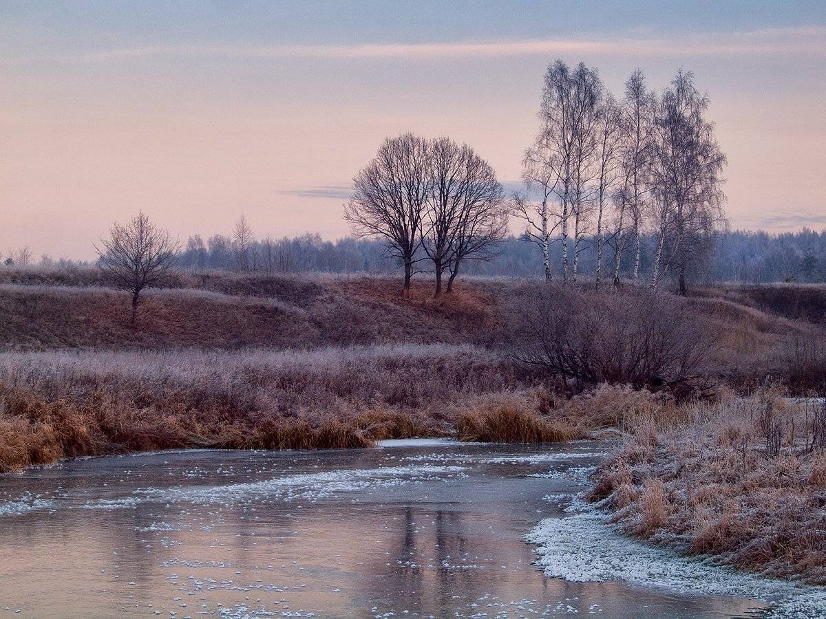 ***. Автор: Владимир Перепечаев , Владимир Перепечаев