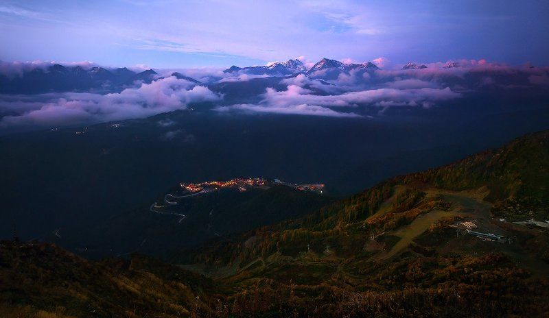 Роза Платоphoto preview