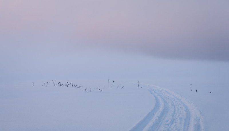 Снежный минимализмphoto preview