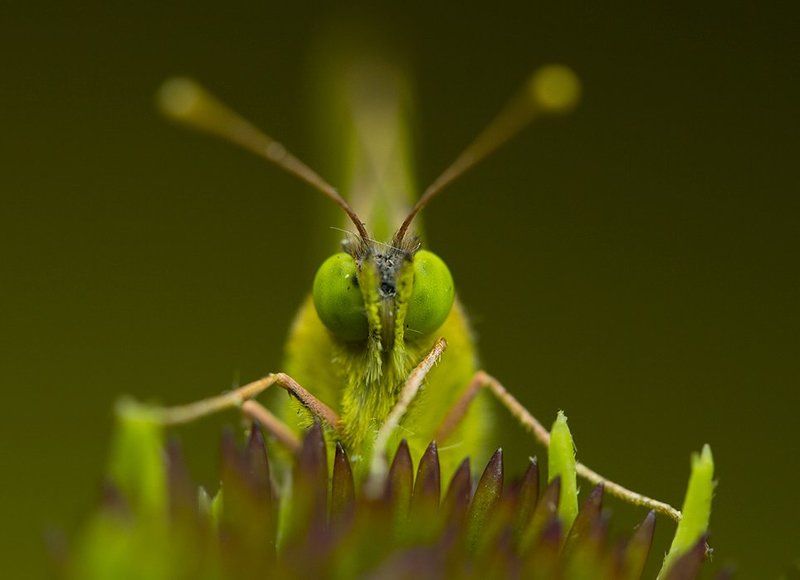 Кто не спрятался, я не виноват!photo preview