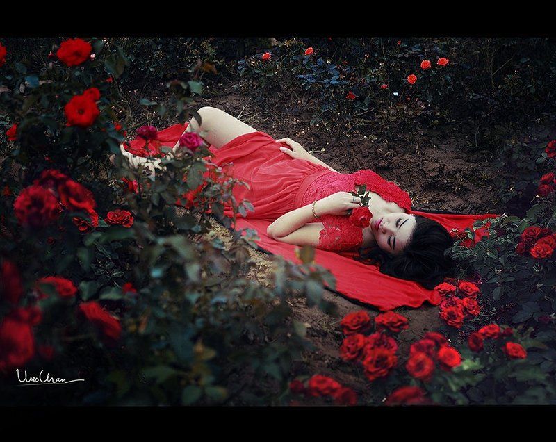 Thỏ con 3photo preview