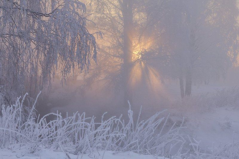 зима, пушкин, санкт-петербург, свет, царское село, пушкин, царское, питер, снег, свет, царскоесело, landscape, nature Про зимуphoto preview