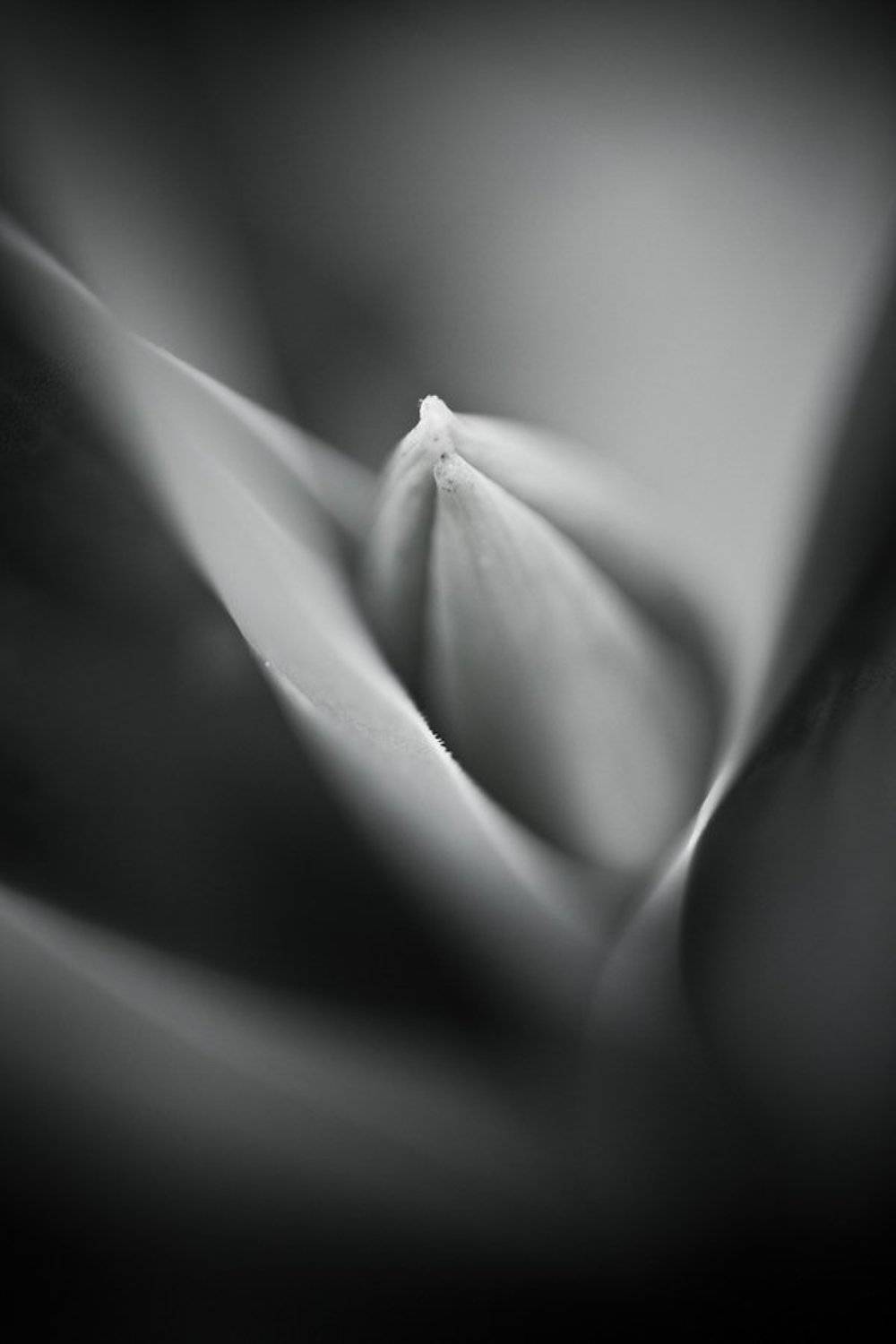 , zsolt andras szabo