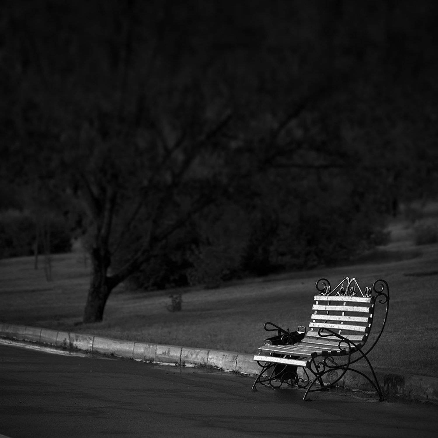 Сквер. Автор: Дмитрий Антипов город, квадрат, красноярск, парк, природа, скамейка, сквер, улица, чб, черно-белое, Дмитрий Антипов