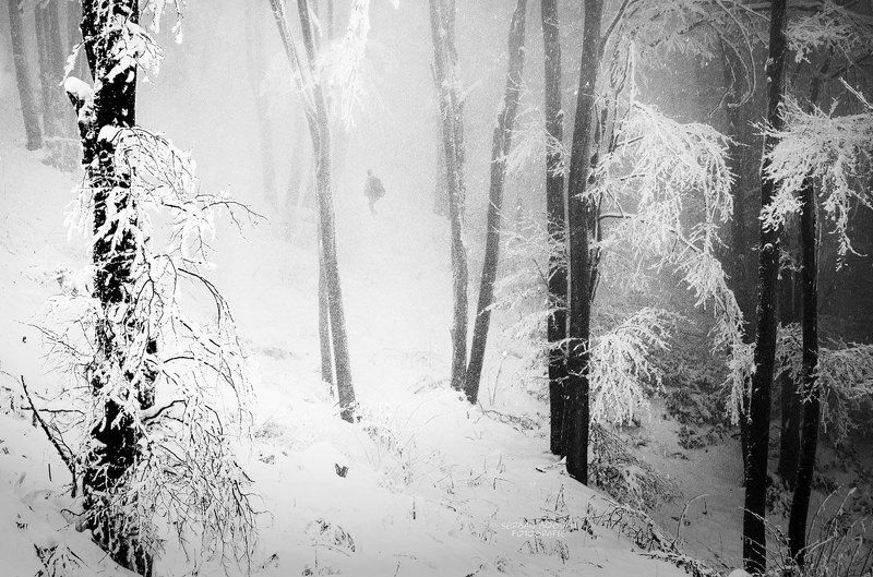 Sunday walkphoto preview