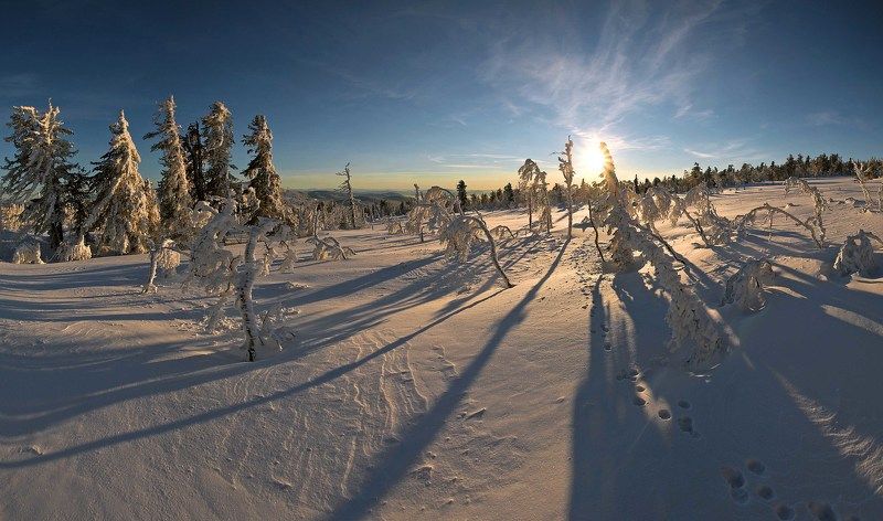 Одинокий след...photo preview