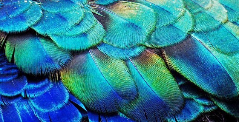 The Art of Creatingphoto preview