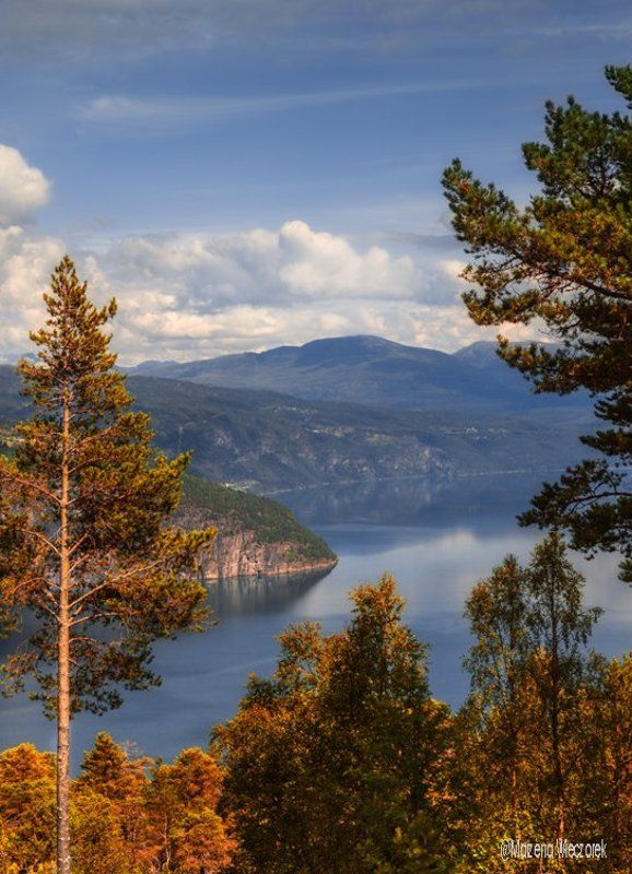 Postcard from Norwayphoto preview