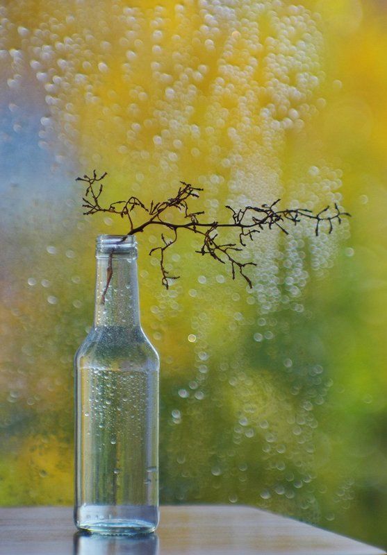 Просто дождь осенний за окномphoto preview