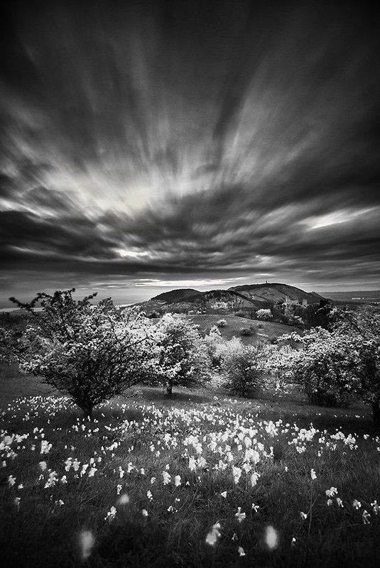 spring on Pálavaphoto preview