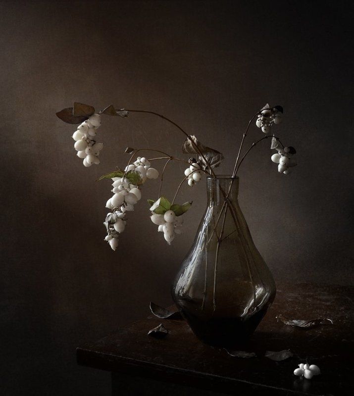 снежноягодник белыйphoto preview