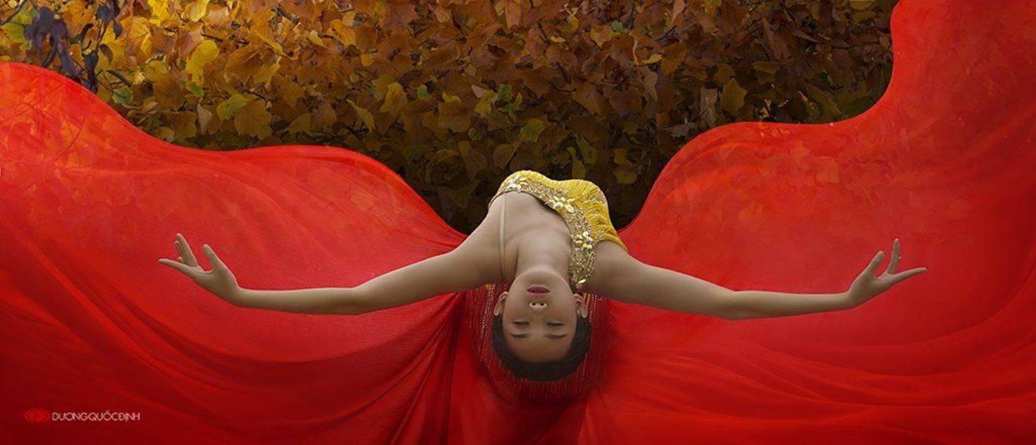 My An. Автор: duong quoc dinh , duong quoc dinh