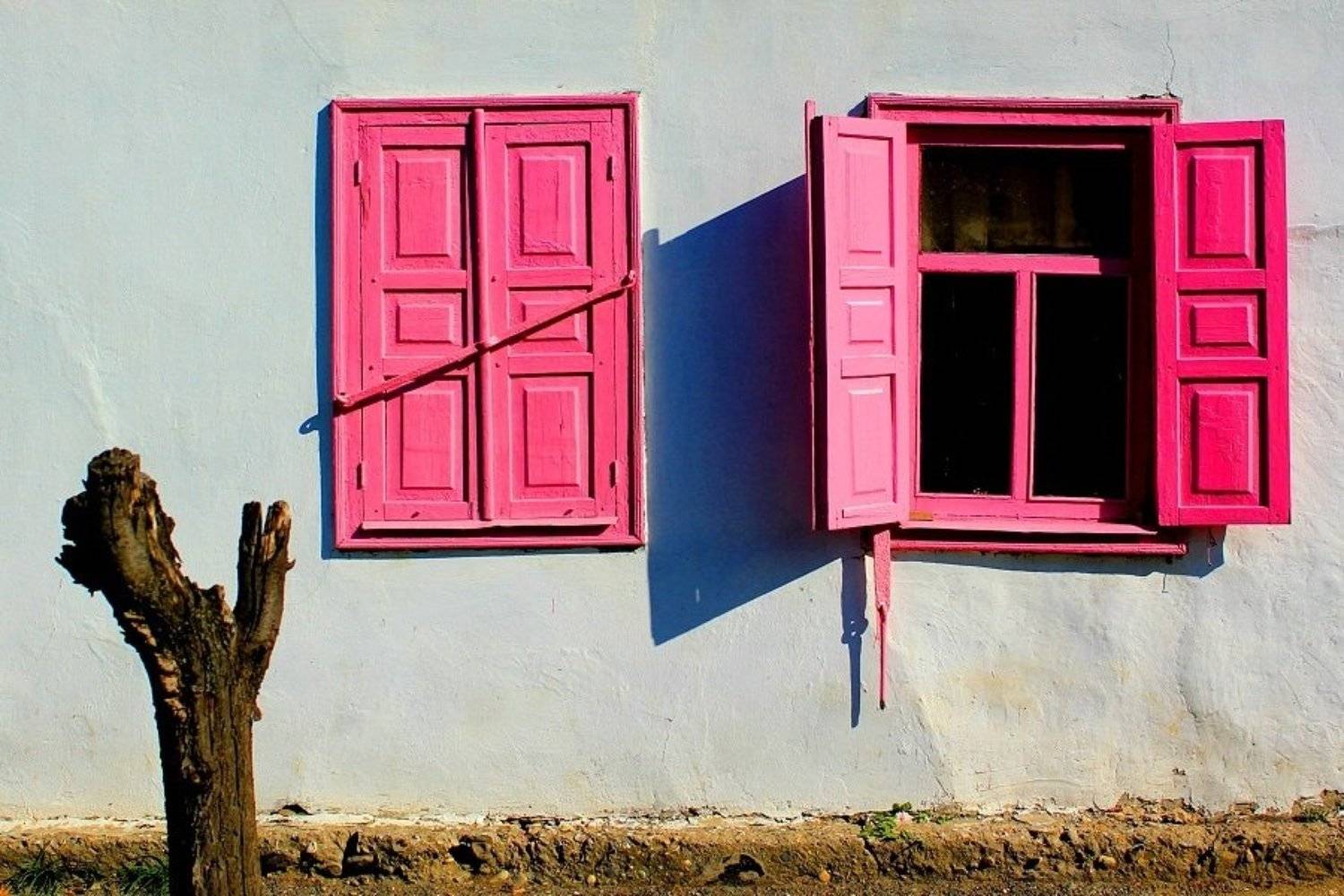 Y pink. Автор: Сюзанна Шевченко , Сюзанна Шевченко