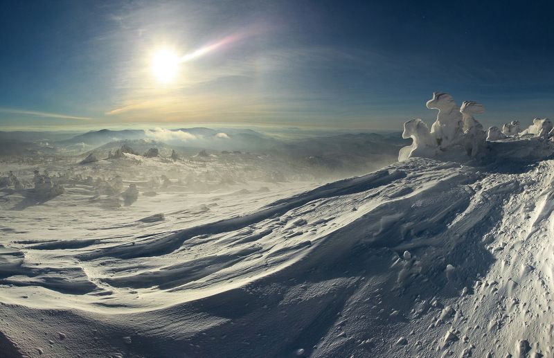 Сибирская тройка .photo preview