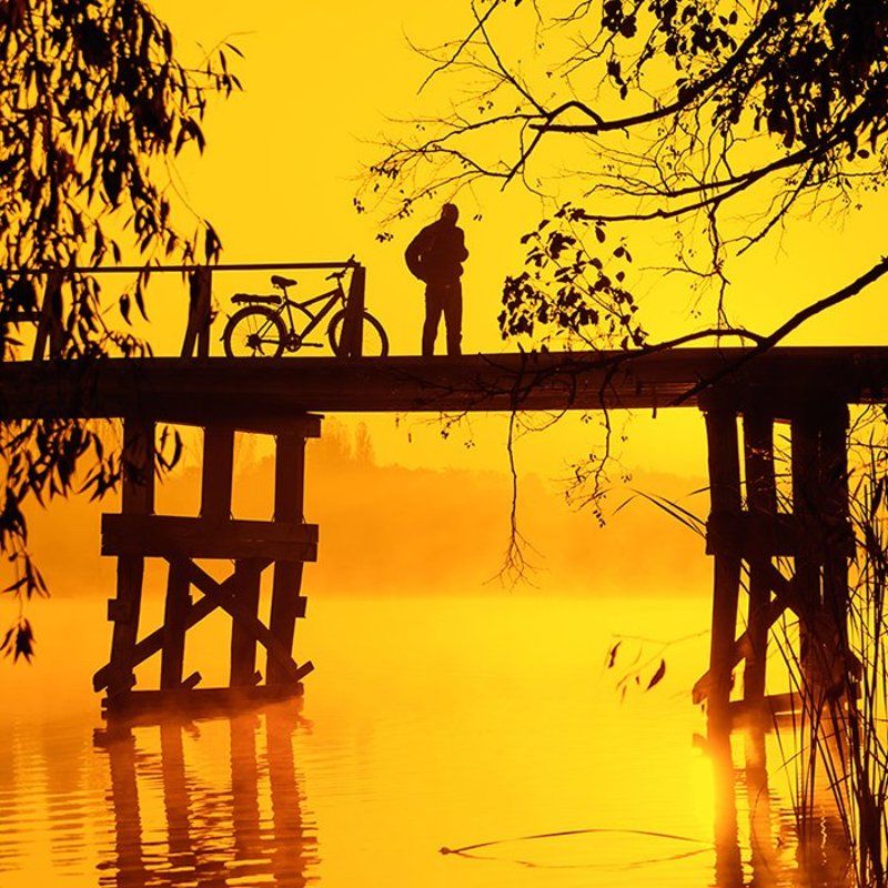 New Dayphoto preview