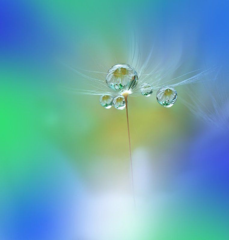 World of the Drops...photo preview