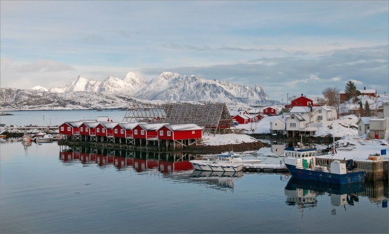 Жизнь на берегуphoto preview