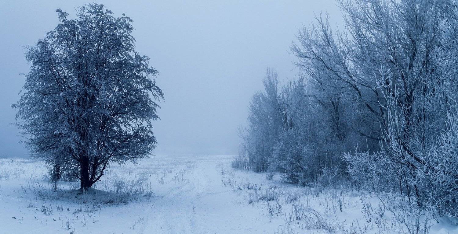 Синий туман. Автор: Игорь Мелекесцев , Игорь Мелекесцев