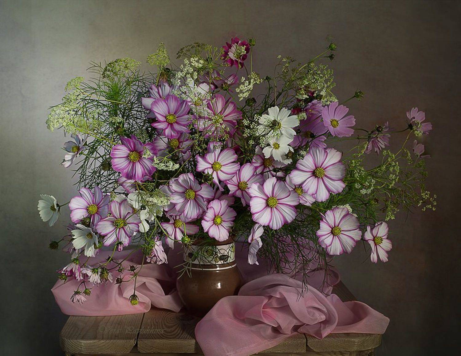 натюрморт, вера павлухина, цветы, космеи,, Вера  Павлухина