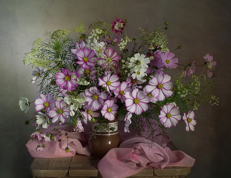 натюрморт, вера павлухина, цветы, космеи, Розовые космеи.photo preview