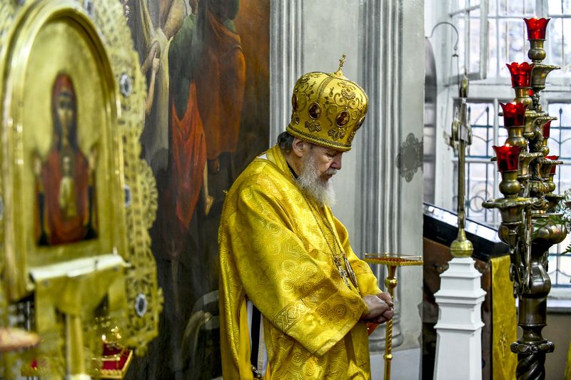 Портрет О нас....photo preview