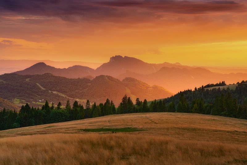 carpathians, clouds, forest, karpaty, landscape, mountains, mountainscape, pieniny, plants, poland, polska, sky, sunlight, sunset, szczawnica, trees, sokolica, trzy korony, szlachtowa, szafranówka, stary wierch, wysoki wierch Shine As You Pleasephoto preview