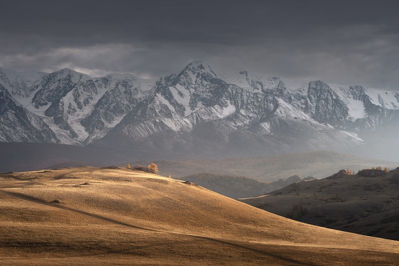Свет Курайской степиphoto preview