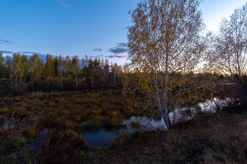 Осенние зарисовкиphoto preview